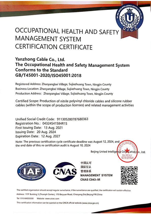 Occupational Health and Safety Management System Certificate